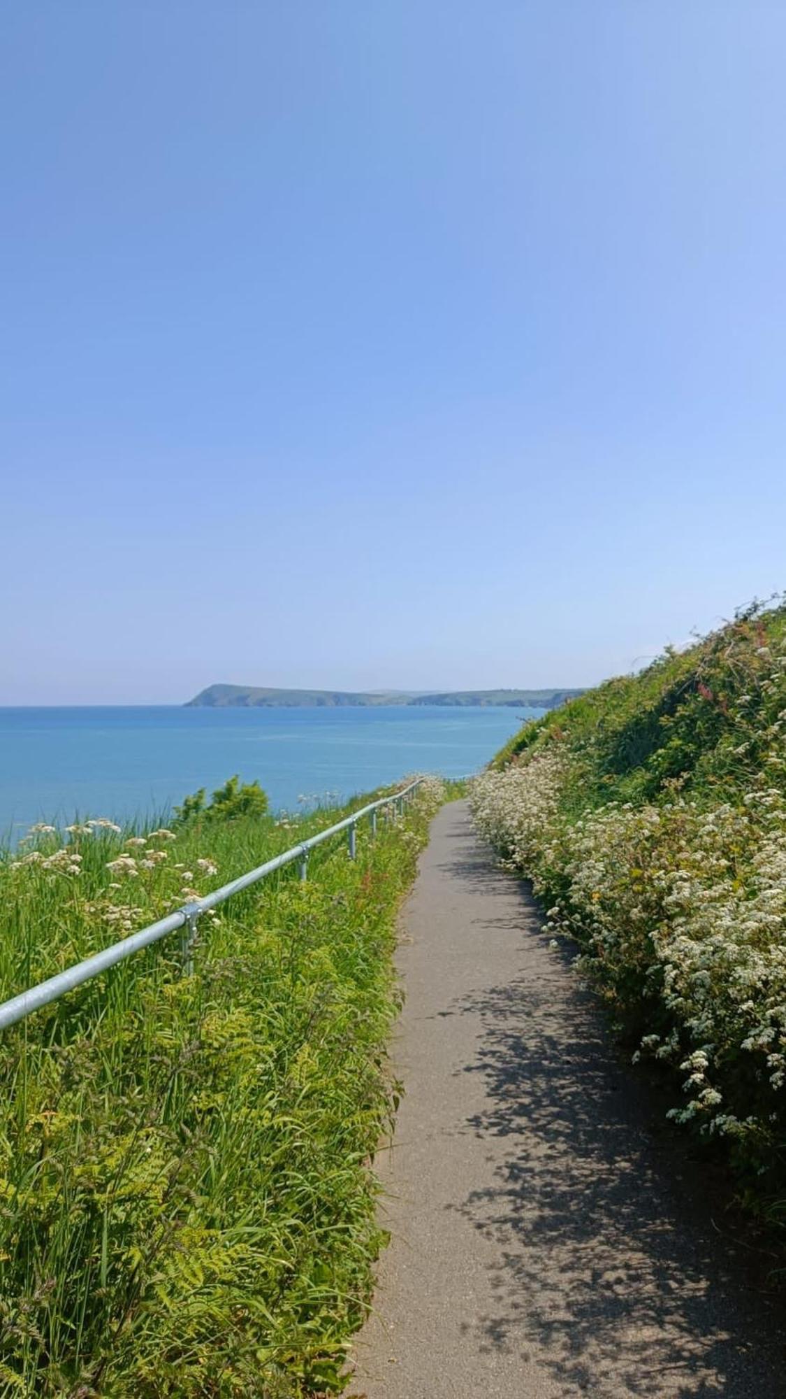 Rose And Crown Hotel & Hope And Anchor Bar Goodwick 외부 사진